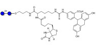 Cellobiose linked to biotin and fluorescein (Linker-BT-FLUO A)