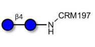 Cellobiose grafted on CRM197