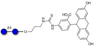 Cellobiose linked to fluorescein (Linker-FLUO A)