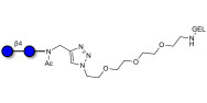 Cellobiose grafted on gel for affinity chromatography (Linker-GEL A)