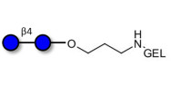 Cellobiose grafted on gel for affinity chromatography (Linker-GEL B)