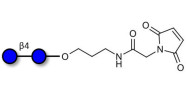 Cellobiose linked to maleimide (Linker-MAL A)