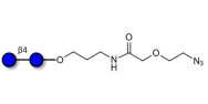 Cellobiose with terminal azide (Linker-N3 B)