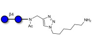 Cellobiose with free terminal amine (Linker-NH2 D)