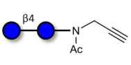 Cellobiose with terminal alkyne (Linker-CΞCH A)