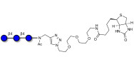 Cellotriose linked to biotin (Linker-BT A)