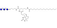 Cellotriose linked to biotin and stearic chain (Linker-BT-STEA A)