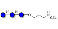 Cellotriose grafted on gel for affinity chromatography (Linker-GEL B)
