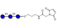 Cellotriose linked to maleimide (Linker-MAL A)
