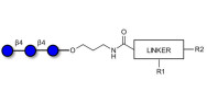 Cellotriose with customizable dual functionalization 