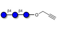 Cellotriose with terminal alkyne (Linker-CΞCH B)