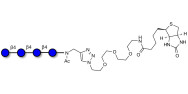 Cellotetraose linked to biotin (Linker-BT A)