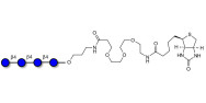 Cellotetraose linked to biotin (Linker-BT C)