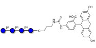 Cellotetraose linked to fluorescein (Linker-FLUO A)