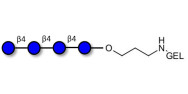 Cellotetraose grafted on gel for affinity chromatography (Linker-GEL B)