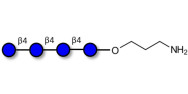 Cellotetraose with free terminal amine (Linker-NH2 A)