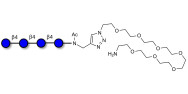 Cellotetraose with free terminal amine (Linker-NH2 C)