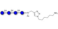 Cellotetraose with free terminal amine (Linker-NH2 D)