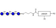 Cellotetraose with customizable dual functionalization 