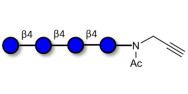 Cellotetraose with terminal alkyne (Linker-CΞCH A)