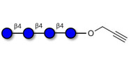 Cellotetraose with terminal alkyne (Linker-CΞCH B)