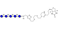 Cellopentaose linked to biotin (Linker-BT A)