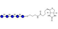 Cellopentaose linked to biotin (Linker-BT B)