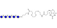 Cellopentaose linked to biotin (Linker-BT C)