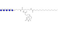 Cellopentaose linked to biotin and stearic chain (Linker-BT-STEA A)