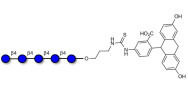 Cellopentaose linked to fluorescein (Linker-FLUO A)