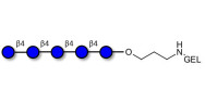 Cellopentaose grafted on gel for affinity chromatography (Linker-GEL B)