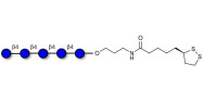 Cellopentaose with cyclic di-thiol (Linker-LIPO A)