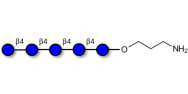 Cellopentaose with free terminal amine (Linker-NH2 A)