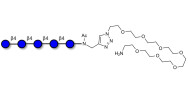 Cellopentaose with free terminal amine (Linker-NH2 C)