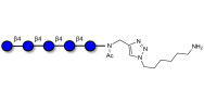 Cellopentaose with free terminal amine (Linker-NH2 D)