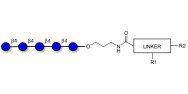 Cellopentaose with customizable dual functionalization 