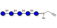 Cellopentaose with terminal alkyne (Linker-CΞCH A)
