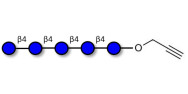 Cellopentaose with terminal alkyne (Linker-CΞCH B)