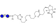 Maltose DP2 linked to biotin (Linker-BT A)