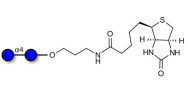 Maltose DP2 linked to biotin (Linker-BT B)