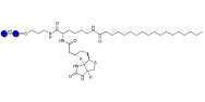 Maltose DP2 linked to biotin and stearic chain (Linker-BT-STEA A)