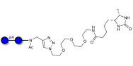 Maltose DP2 linked to desthiobiotin (Linker-DBT-A)