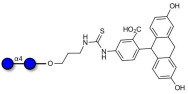 Maltose DP2 linked to fluorescein (Linker-FLUO A)