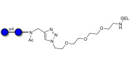Maltose DP2 grafted on gel for affinity chromatography (Linker-GEL A)