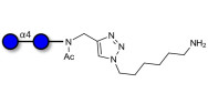 Maltose DP2 with free terminal amine (Linker-NH2 D)