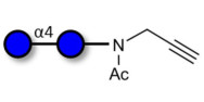 Maltose DP2 with terminal alkyne (Linker-CΞCH A)