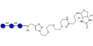 Maltotriose DP3 linked to biotin (Linker-BT A)