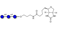 Maltotriose DP3 linked to biotin (Linker-BT B)