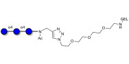 Maltotriose DP3 grafted on gel for affinity chromatography (Linker-GEL A)