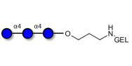 Maltotriose DP3 grafted on gel for affinity chromatography (Linker-GEL B)
